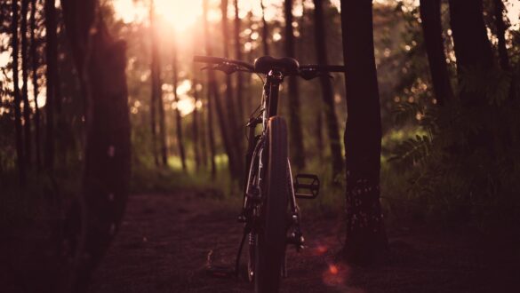 mountain bike saddle