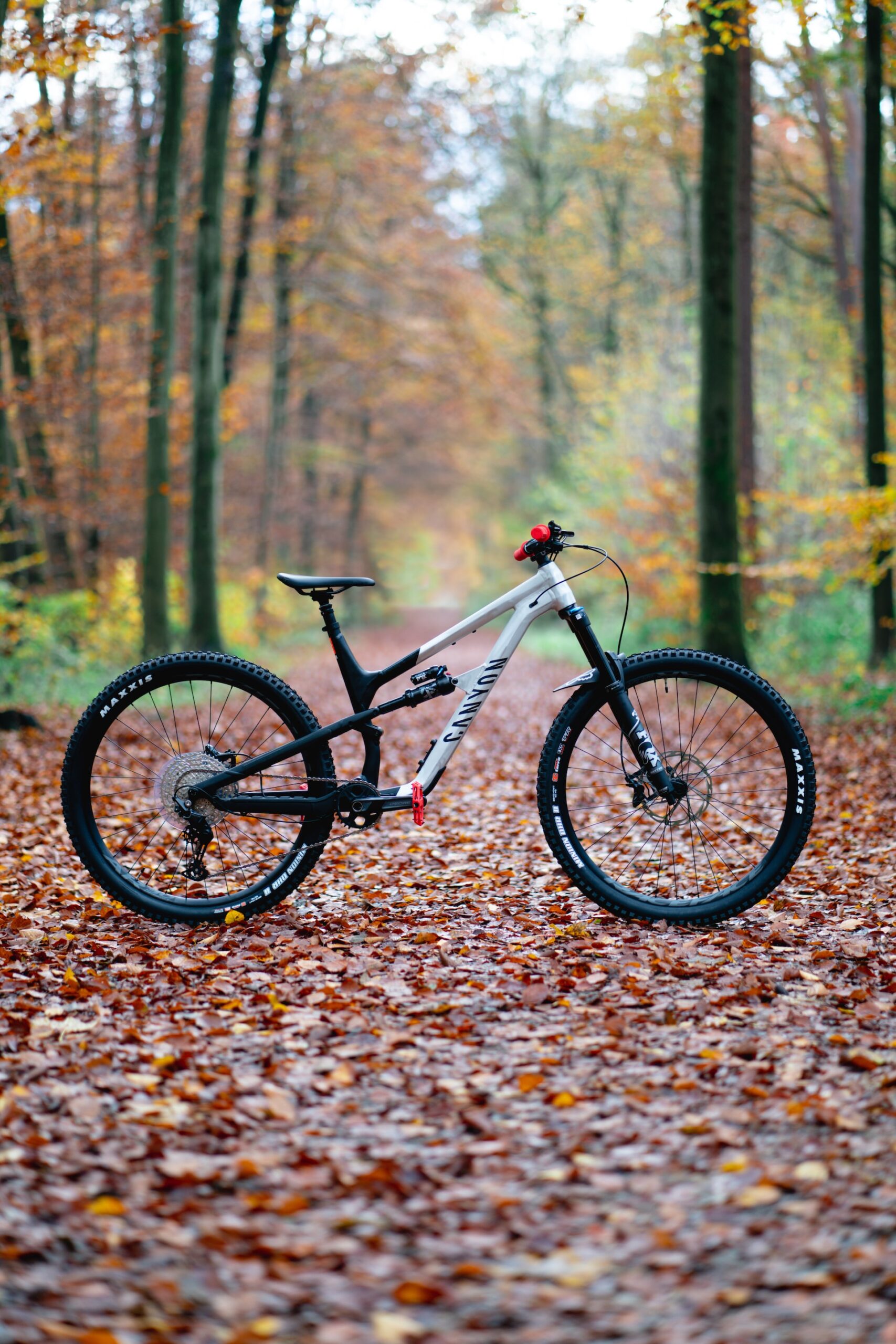 how to pick the right size mountain bike