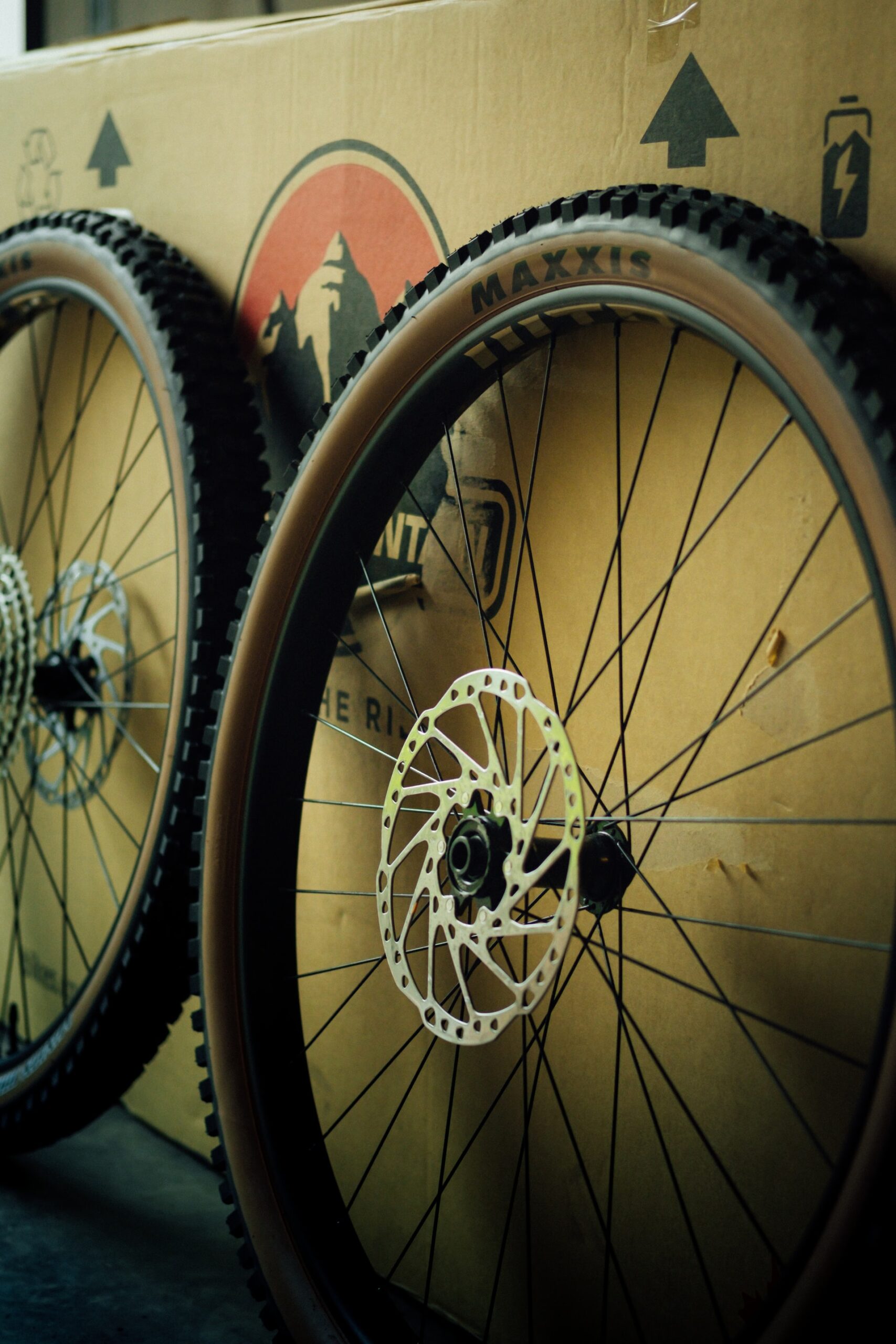 Mountain Bike Tires for Every Terrain & Condition