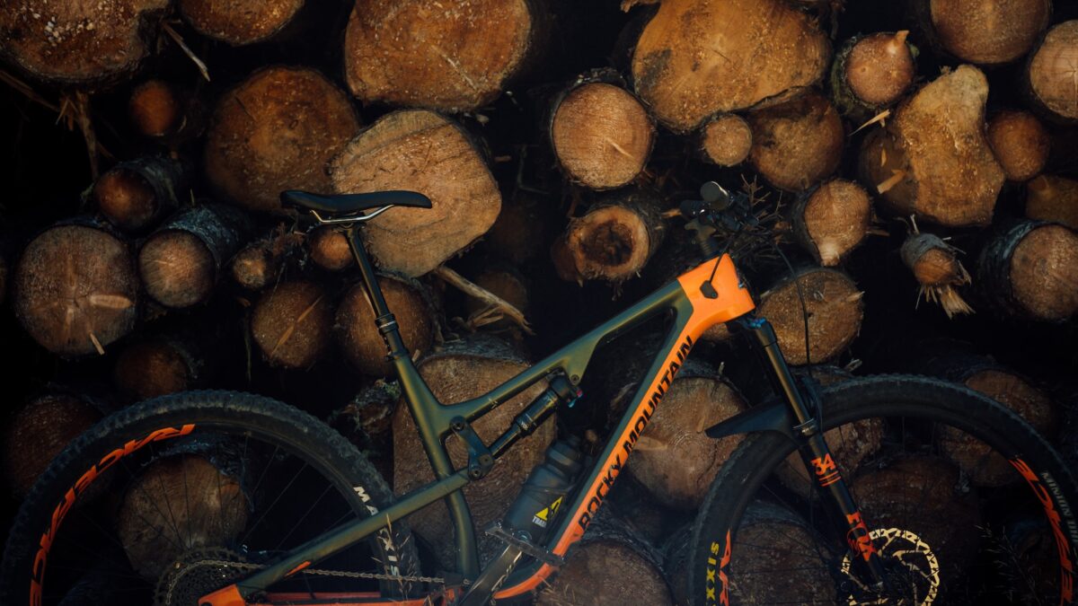 Mountain Bike Buying Guide Find Your Perfect Ride