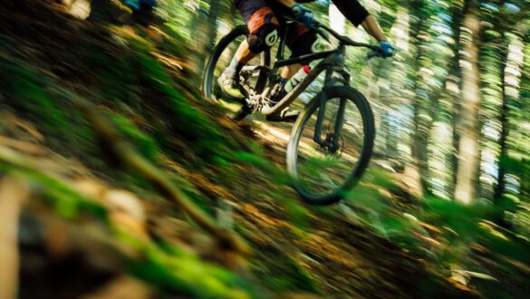 mountain bike trails near you